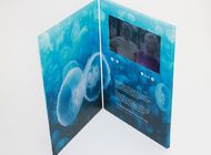 douane Multi - pagina met de hand gemaakte lcd videogroetkaart voor eerlijke vertoning